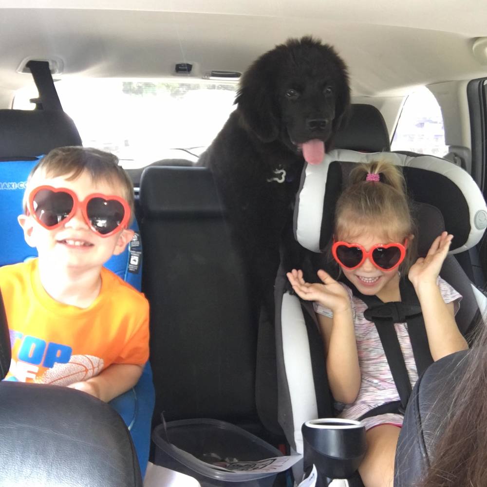 Meet your Posher, Megan